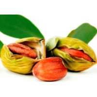 Масло Жожоба (Jojoba oil), 50 мл, Франція BIO