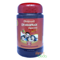 Чаванпраш Спешл (Chyawanprash Special), 500 грамм