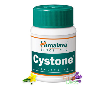 Цистон Хімалая (Cystone Himalaya), 60 таблеток