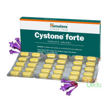 Cystone Forte, 60 tablets