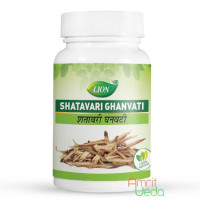 Шатаварі екстракт (Shatavari extract), 100 таблеток