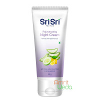 Крем Нічний відновлюючий (Night Cream), 60 грам